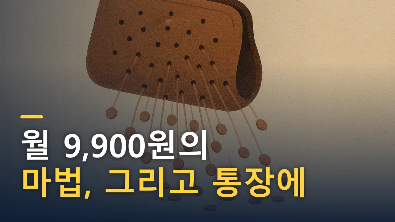 월 9,900원의 마법, 그리고 통장에 난 구멍